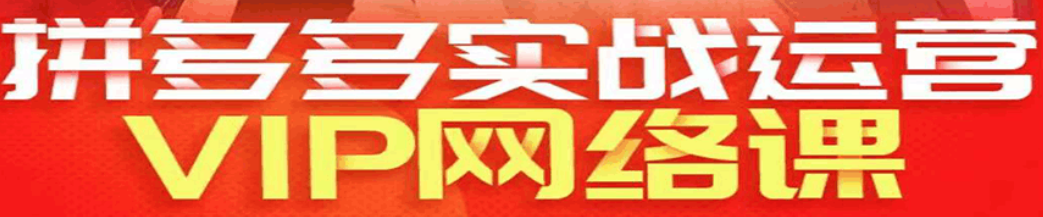 2023年6月拼多多VIP全套直播课程（新）