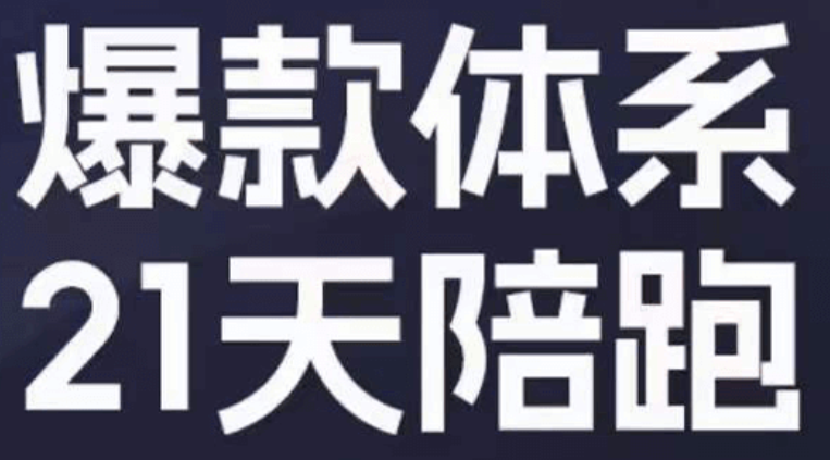 淘系爆款陪跑营