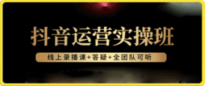抖音运营实操班