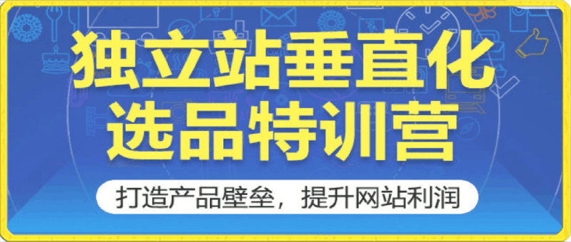 独立站垂直化选品特训营