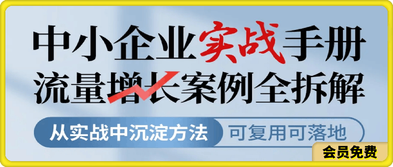 中小企业实战手册流量增长案例全拆解