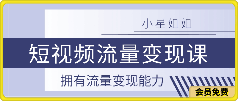 小星姐姐短视频流量变现课，拥有流量变现能力