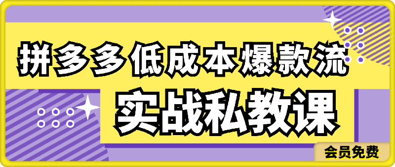 拼多多低成本爆款流实战私教课