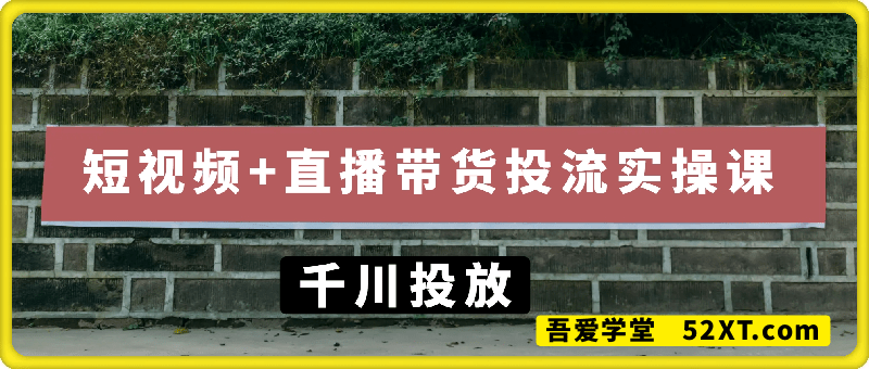 千川投放 短视频+直播带货投流实操课