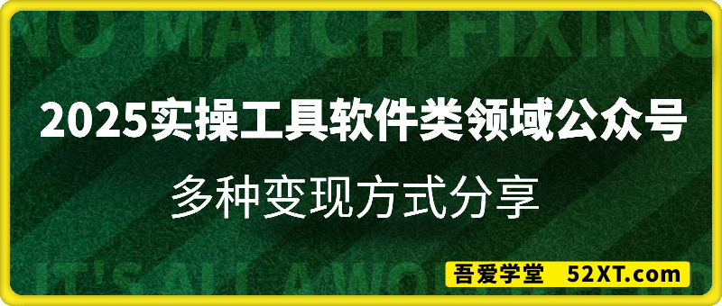2025实操工具软件类领域公众号，多种变现方式分享