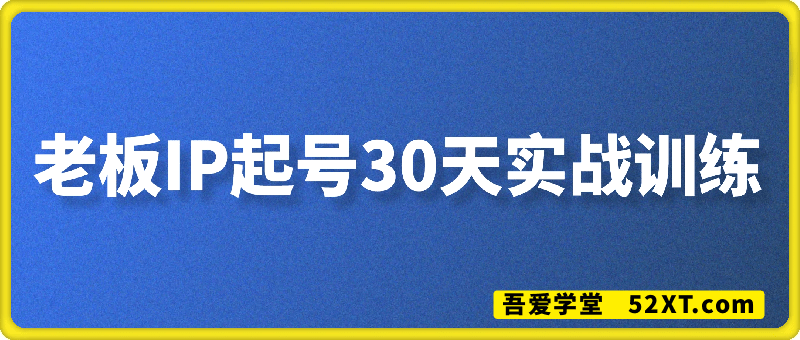 老板IP起号30天实战训练(价值2980元）