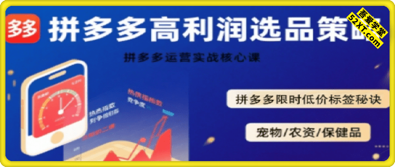 拼多多选品暴利技术实战课