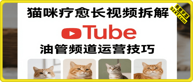 猫咪疗愈长视频拆解 &油管频道运营技巧