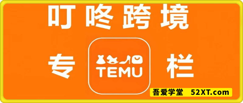 叮咚跨境TEMU专栏