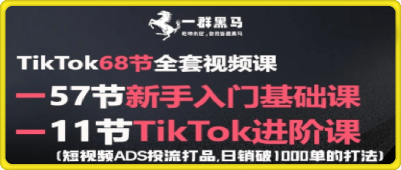 黑马跨境TikTok视频课