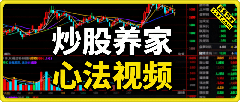 炒股养家心法视频