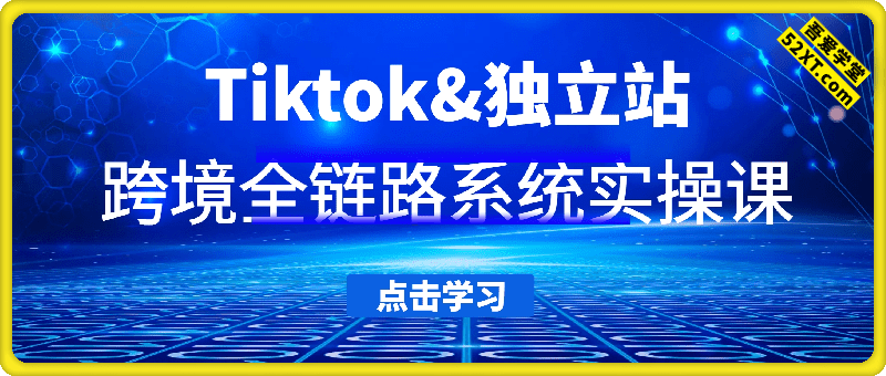 Tiktok&独立站：跨境全链路系统实操课