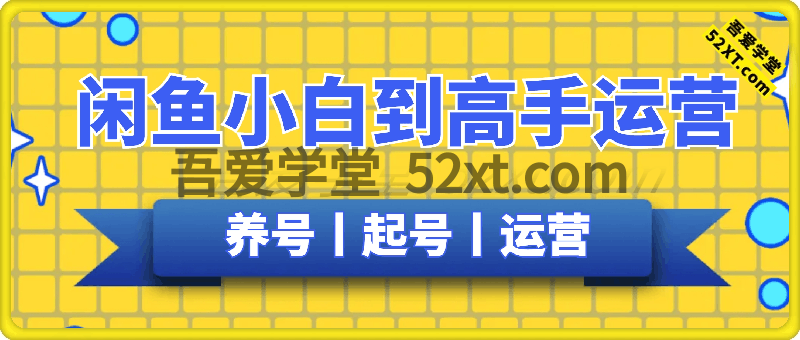 闲鱼引流培训，小白到高手运营