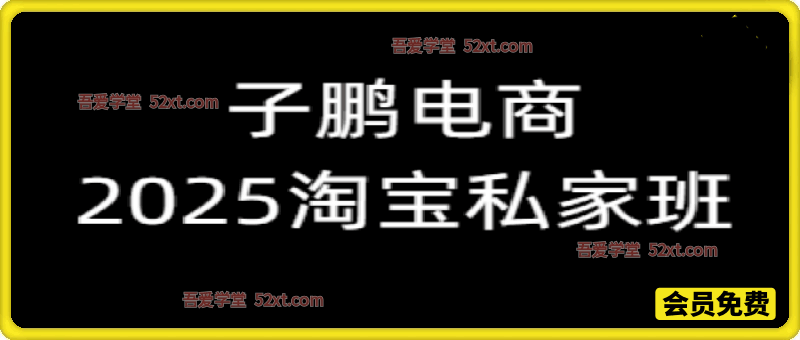 ZP讲电商-淘宝私家班（更新2026）
