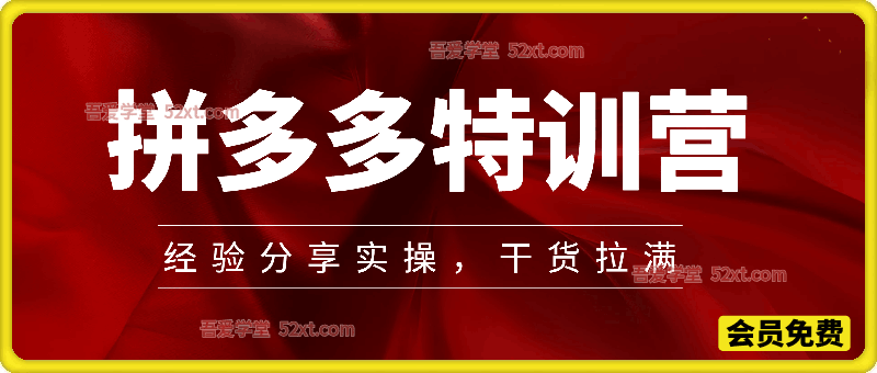 拼多多特训营，各种玩法技巧落地实操