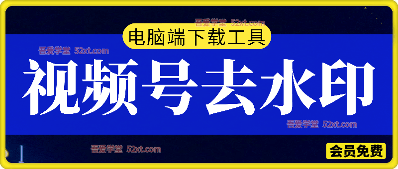 微信视频号下载工具 v260310 中文绿色便携版