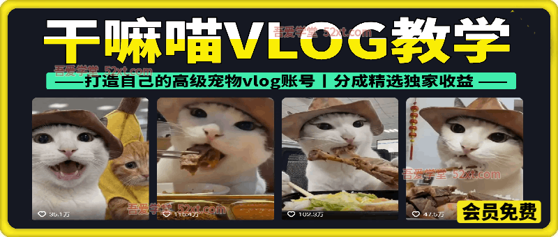 干嘛喵VLOG教学，打造自己的高级宠物vlog账号，可做分成精选独家收益