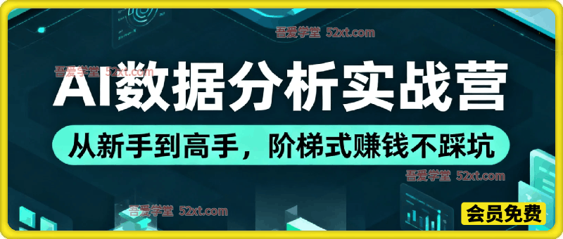 AI数据分析实战营，变现全路径，从新手到高手，阶梯式賺钱不踩坑，彻底打破收入的上限