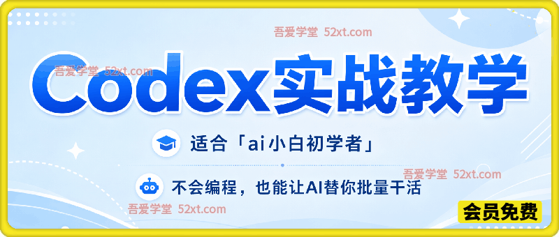 Codex实战教学，不会编程，也能让AI替你批量干活