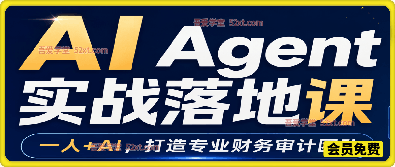 AI Agent 实战落地课，一人 + AI，打造专业财务审计团队