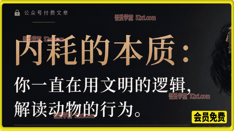 公众号付费文章——内耗的本质：你一直在用文明的逻辑，解读动物的行为